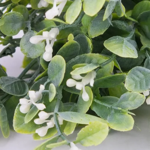 Bogyós buxus csokor fehér