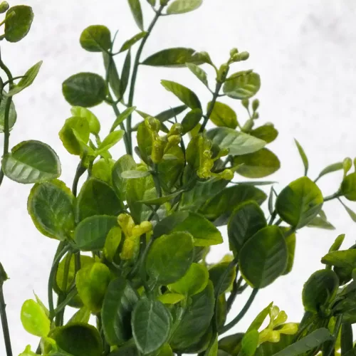 Bogyós buxus csokor zöld