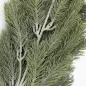 Dekorációs hamvas fenyőág 2db/cs