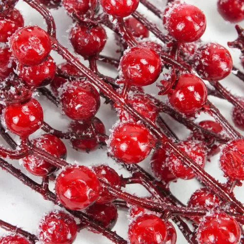 Havas csipkebogyó ág 20db/csomag 150/#