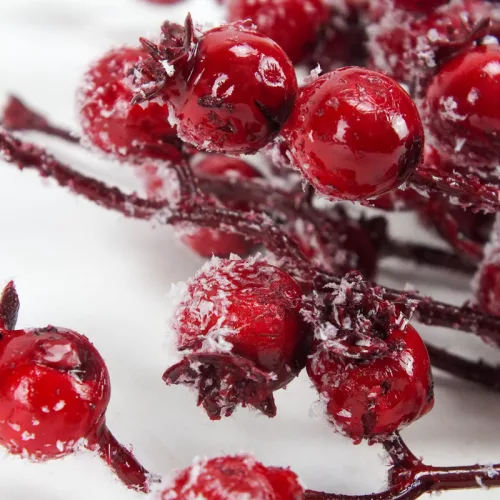 Havas csipkebogyó ág 20db/csomag 150/#