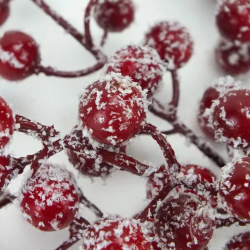  Havas piros bogyós ág 50db/csomag 72/#