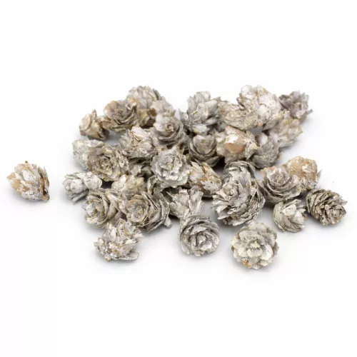 Mini hamvas tobozok 0,5kg/csomag