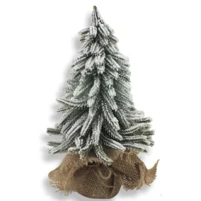 Havas fenyő zsákos talppal