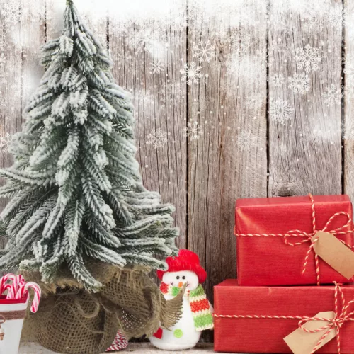 Havas fenyő zsákos talppal