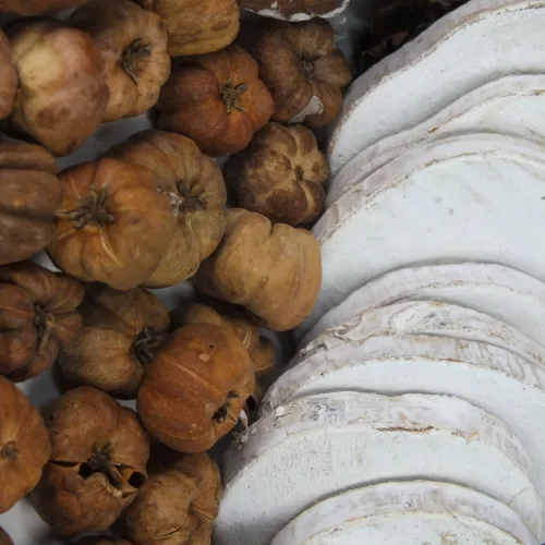 Erdei mesék terméscsomag