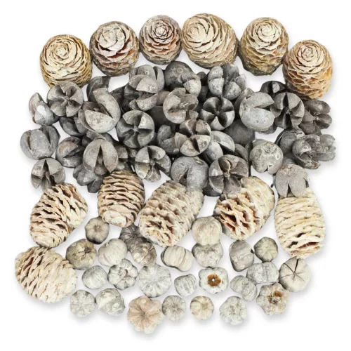 Havas harmónia terméscsomag