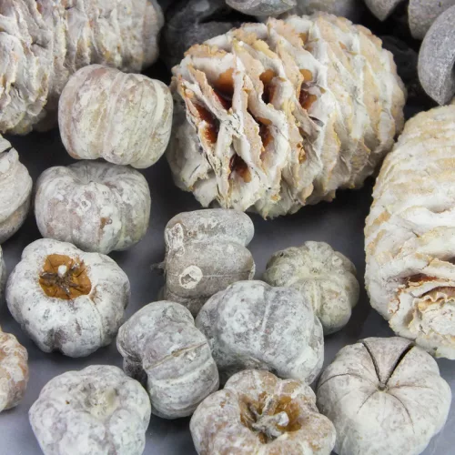 Havas harmónia terméscsomag