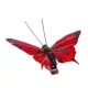 Dekoratív piros pillangó csipesszel – 7 cm, élénk dekoráció virágkompozíciókhoz