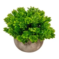 Dekor zöldek - levelek, ágak