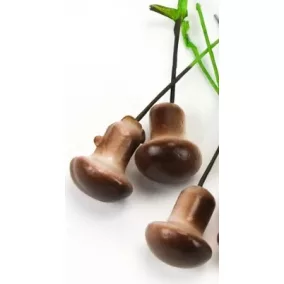 Gomba beszúrható 2x1,5 cm 3 db/csomag