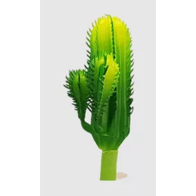 Kaktusz 12 cm
