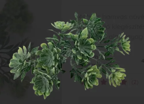 Hamvas mini levelek 1 csokor