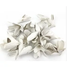 Háncsvirág fehér 10g/cs