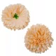 Krizantém őszibarack fej 6-6,5 cm - díszvirág meleg és barkács dekorációkhoz