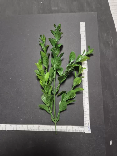 Eukaliptuszág 20 cm – modern zöld dekoráció virágkötészethez és barkácsoláshoz