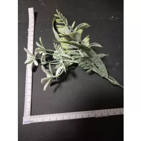   Zöld ág finom virágokkal 20 cm – dísznövény természetes virágdíszekhez