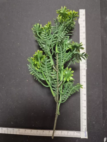 20 cm-es műpozsgás ág – zöld dekoráció kreatív kompozíciókhoz