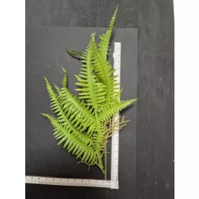   25 cm-es páfránylevél – Zöld dekoráció természetes kompozíciókhoz