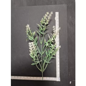   20 cm-es zöld bokorág apró levelekkel – természetes dekoráció virágkompozíciókhoz