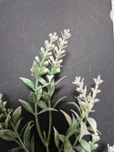 20 cm-es zöld bokorág apró levelekkel – természetes dekoráció virágkompozíciókhoz