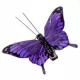 Dekoratív lila pillangó csipesszel – 7 cm, elegáns kiegészítő dekorációhoz