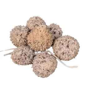 Kínai ámbrafa – barack színű 3 db /csomag