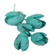 "Bakuli" aqua – szárított termés, 10 db, 2–3 cm