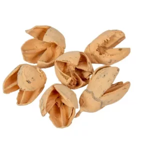   Barack színű "Bakuli" - szárított díszek, 10 db, 2–3 cm