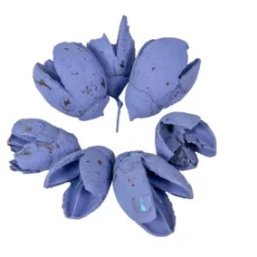   Vintage kék indiai "Bakuli" - Szárított dísznövény, 10 db, 2–3 cm