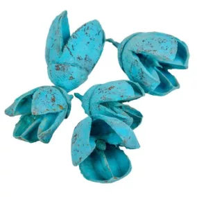   Indiai türkiz "Bakuli" - szárított díszek, 10 db, 2–3 cm