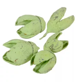   Világoszöld indiai „Bakuli” – szárított dísznövény, 10 db, 2–3 cm