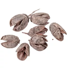   Órózsaszín indiai „Bakuli” – szárított dísznövény, 10 db, 2–3 cm