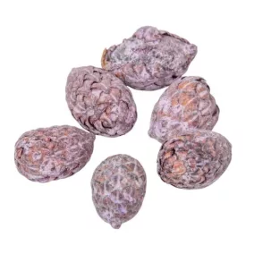   "Cane" pálmamag - szárított dísznövények, vintage rózsaszín, 1,5-3 cm 10 db/csomag