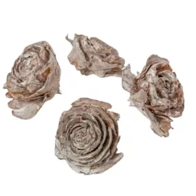 Szárított cédrusrózsa, fehér – 3-5 cm, 4 db/csomag