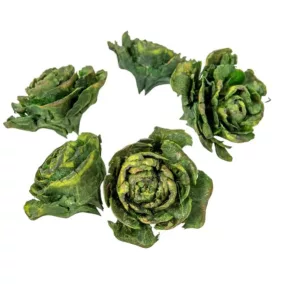 Szárított cédrus rozetta, zöld – 3–5 cm, 4 db/csomag