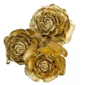 Szárított cédrusrózsa, arany – 3–5 cm, 4 db/csomag
