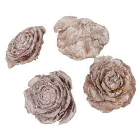  Szárított cédrusrózsa, fehér, dérhatású – 3–5 cm, 4 db/csomag