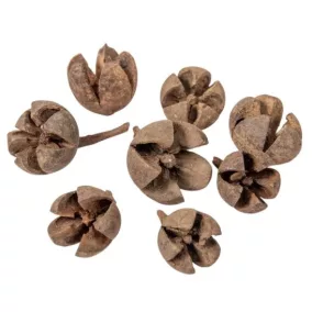 Natúr „Chiruni” – 1,5–2,5 cm, 10 db/csomag