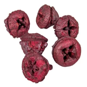 Dekoratív eukaliptusz gombok, piros – 1,5–2,5 cm, 8 db