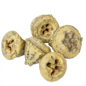   Dekoratív eukaliptusz gombok, vanília – 1,5–2,5 cm, 8 db