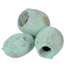 „Eukaliptusz/Gumi” akvamarin – 3–4 cm, 3 db/csomag