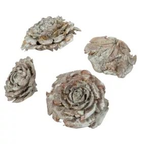   Szárított cédrusrózsa, Vintage zöld – 3–5 cm, 4 db/csomag