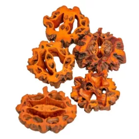 Fekete dió szelet – narancssárga 5 db