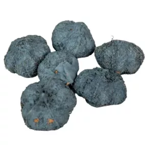 Mini díszfokhagyma – Acélkék (2–3 cm, 5 db/csomag)