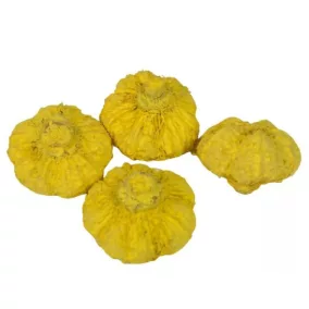 Dekoratív mini fokhagyma – Sárga (2–3 cm, 5 db/csomag)