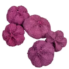   Mini díszfokhagyma – szeder színű (2–3 cm, 5 db/csomag)