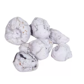   Dekoratív mini kókuszdió 1,5-3 cm – ​​Világoslila (5 db/csomag)