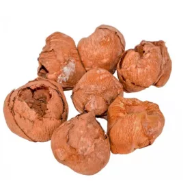 Mini díszkókusz – Világosbarna (5 db/csomag)