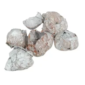 Mini díszkókusz – zúzmarás hatású (5 db/csomag)